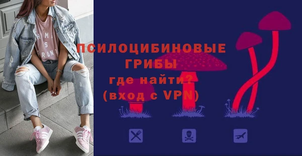 эйфоретик Заводоуковск